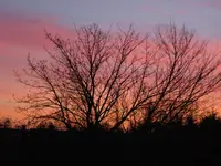 9.februar 022.webp