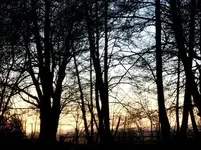 Sonnenuntergang 8.2.2008  1 (12).webp