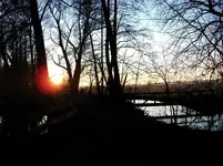 Sonnenuntergang 8.2.2008  1 (17).webp