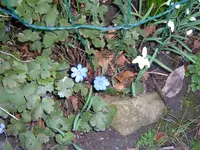 10.februar 004.webp