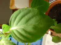 DSC00282#3.webp