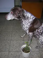 DSCN1446.webp