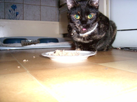 PIC_0034.webp