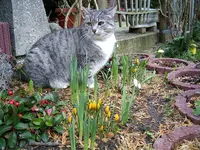 image002.webp