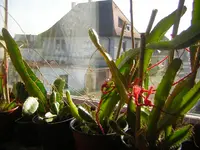 DSCN1452.webp