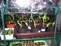 image003.webp