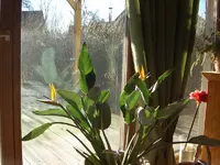 CIMG1082.webp