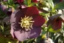 galerie3[1].webp