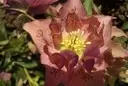 galerie9[1].webp