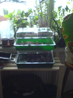 DSC00501.webp