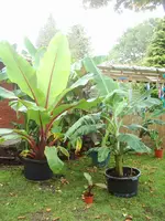 Bilder vom 09.10.07 007.webp