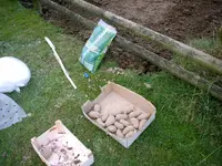 IMAG0032.webp