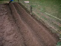 IMAG0041.webp