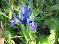 IMG_0013--.webp