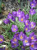 CIMG0579.webp