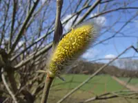 Bild.webp