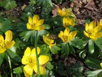 Bild 1211.webp