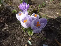 Bild 092.webp