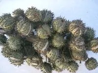Bild 001.webp