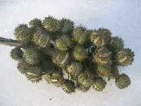 Bild 002.webp