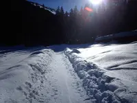 IMAG0001.webp