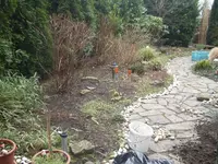 P9290071.webp