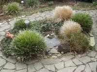 P9290074.webp