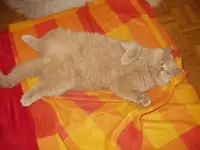 PA050020.webp