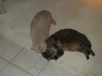 PA010087.webp