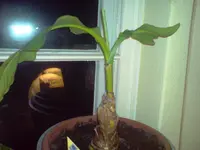 DSC00654.webp