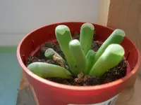 CIMG0771.webp