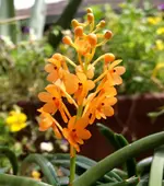 Bild 172.webp