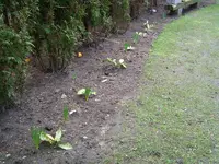 image001.webp