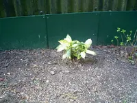 image002.webp