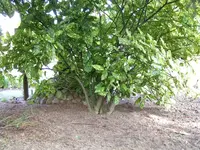 image003.webp