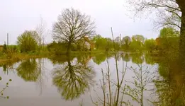 Badeteich_torgau_k.webp