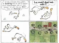 voegel02.webp