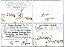 voegel08.webp