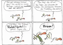 voegel10.webp