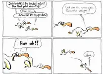 voegel11.webp