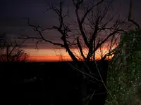 Donaustauf Burg 17.02.08 (127).webp