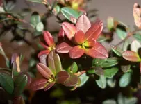 20080303_02.webp