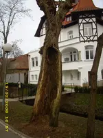 Test 262.webp
