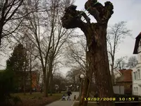 Test 264.webp