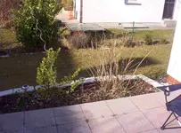 Sträucher1.webp