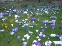 märz 07 050.webp