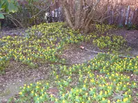 winter 07 004.webp