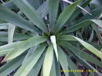 Test 372.webp