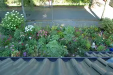 vordergarten.webp