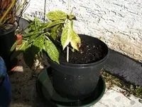 tn_BILD0083.webp